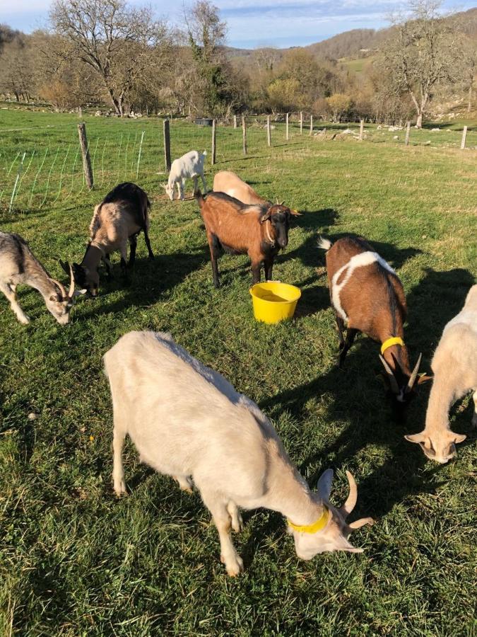 Gite A La Ferme Montesquieu-Avantes Exterior foto